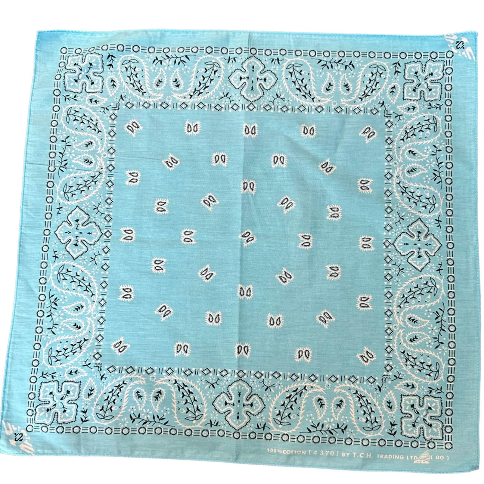 Baby Blue Paisley Bandana